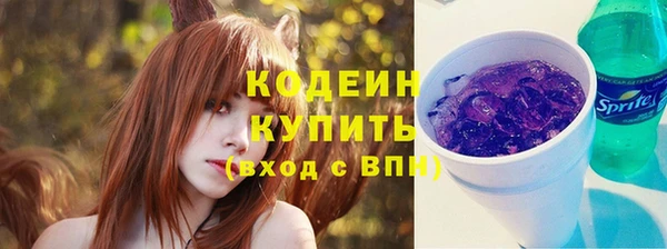 сатива Лабытнанги