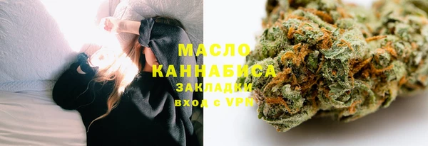 сатива Лабытнанги