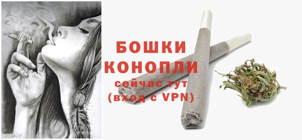 сатива Лабытнанги