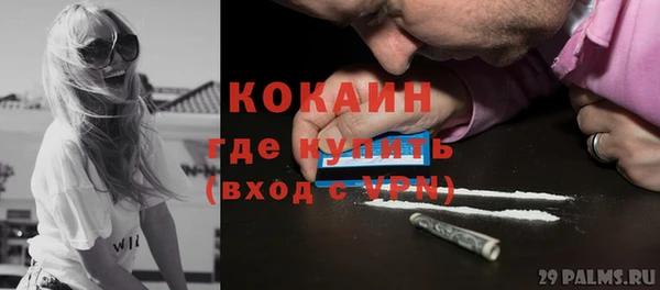сатива Лабытнанги