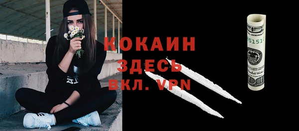 сатива Лабытнанги