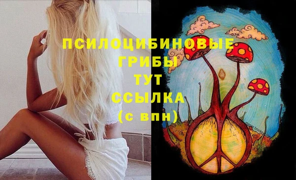 соль курить ск Ладушкин