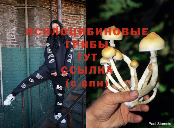 сатива Лабытнанги