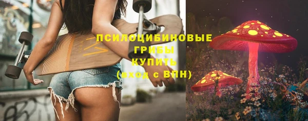 сатива Лабытнанги