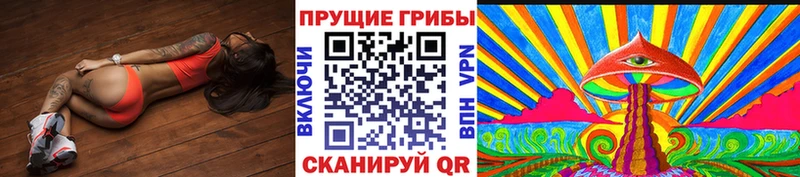 Псилоцибиновые грибы Cubensis  Староминская 